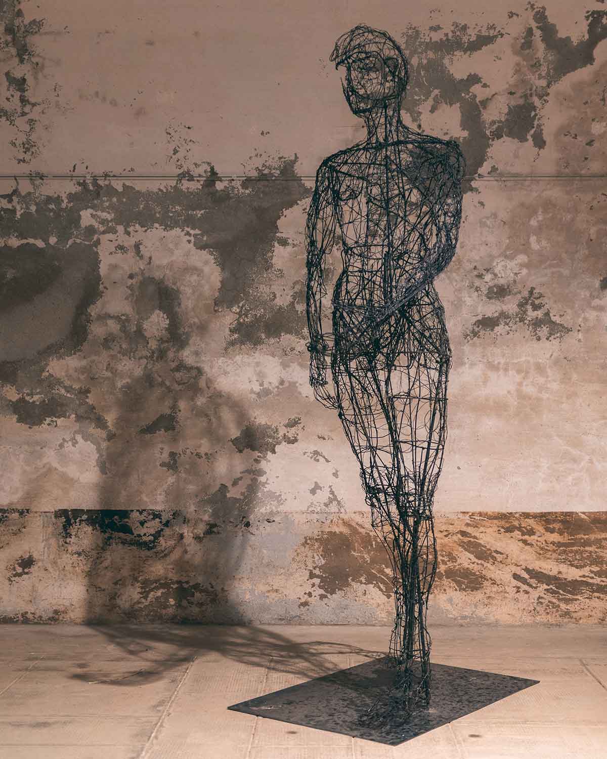 pinosio artista venezia filo di ferro